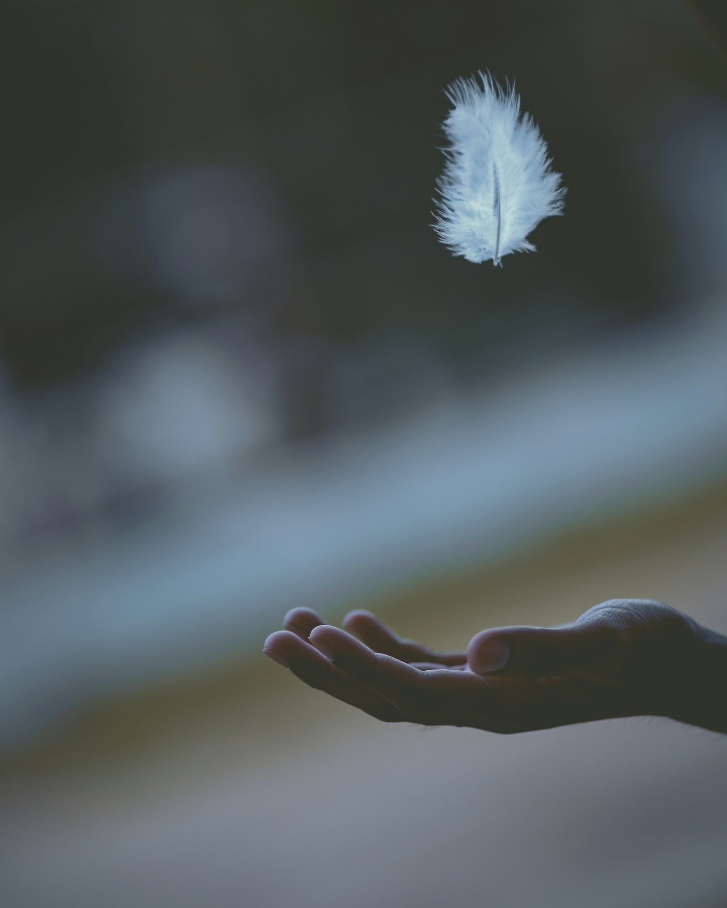 The Role of Education in Reclaiming Your Life
