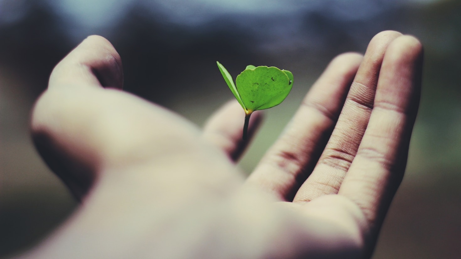 Navigating Emotional Triggers with Confidence